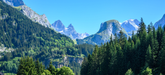 CAMPING IM HERZEN DER ALPEN