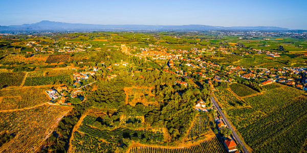 REISEZIEL VAUCLUSE