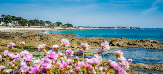 CAMPING MIT ANIMATION IN CARNAC
